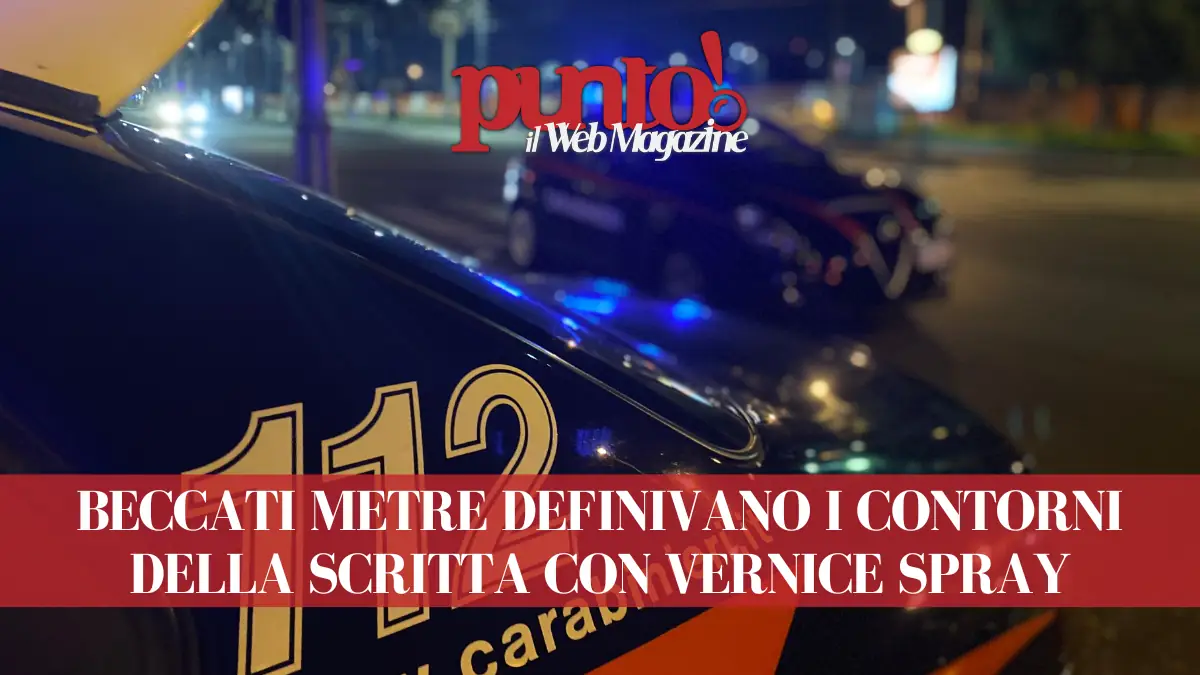 Vecchi Lions