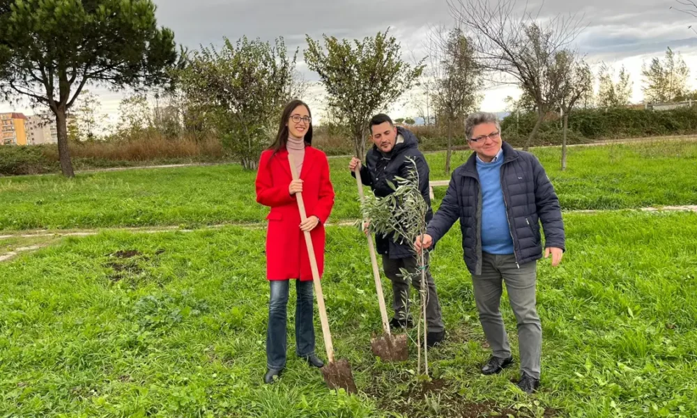 Stefano Ricciardiello