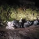Abbandono di rifiuti in Pozzo Nuovo