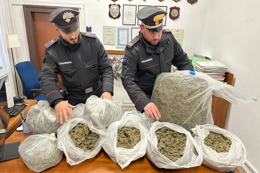 sequeswtrati 33 chili di marijuana