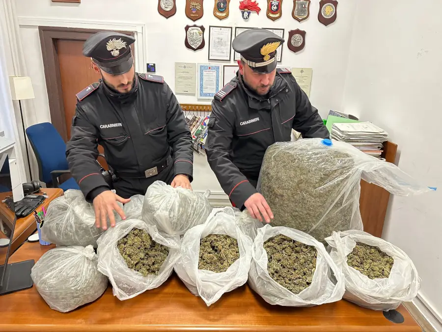 sequeswtrati 33 chili di marijuana