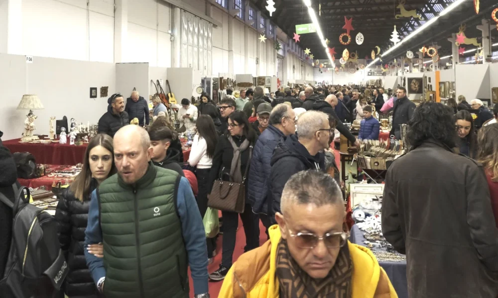 Expo