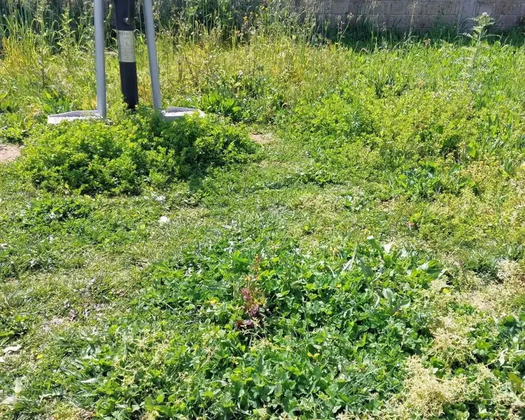 Stadio santo stefano qualiano