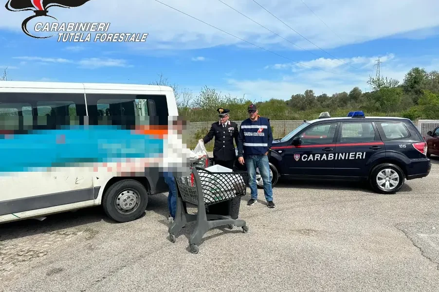 sicurezza alimentare