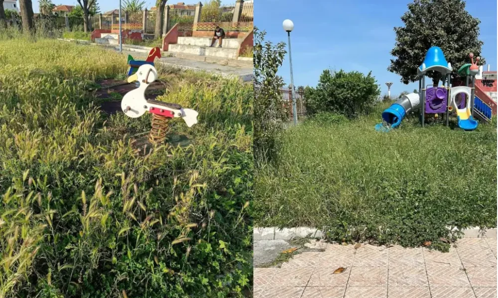 Mancato diserbo a Qualiano