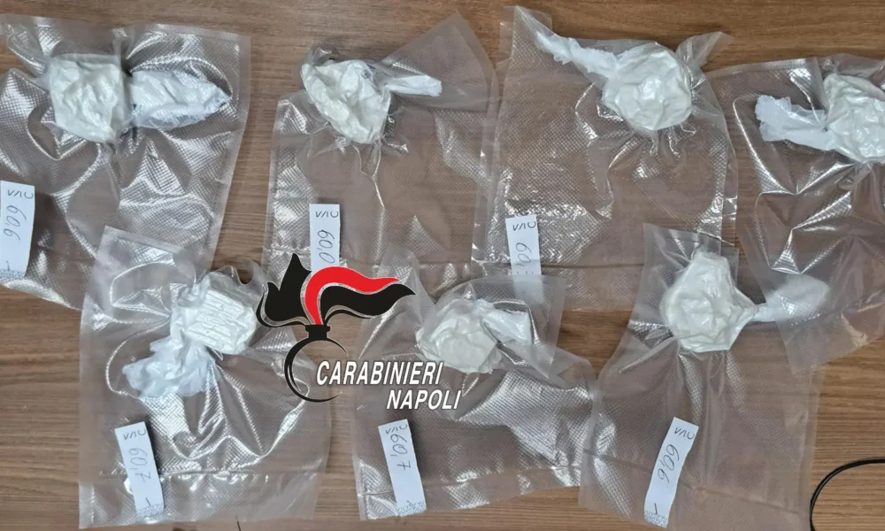 Mezzo chilo di cocaina sequestrato