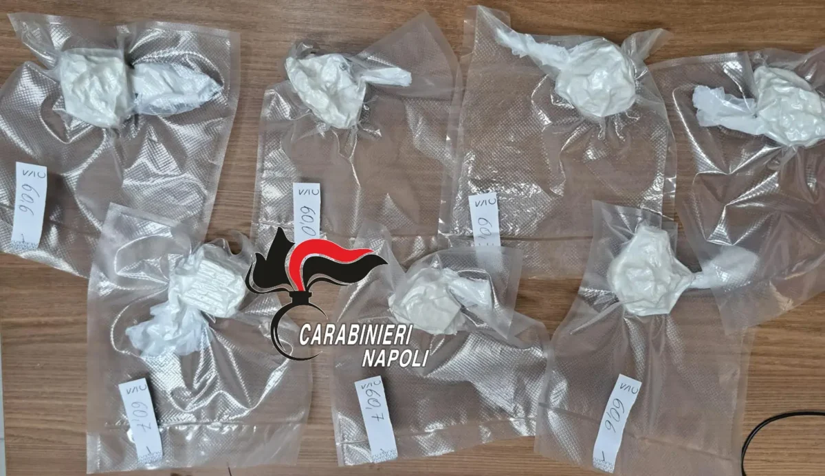 Mezzo chilo di cocaina sequestrato