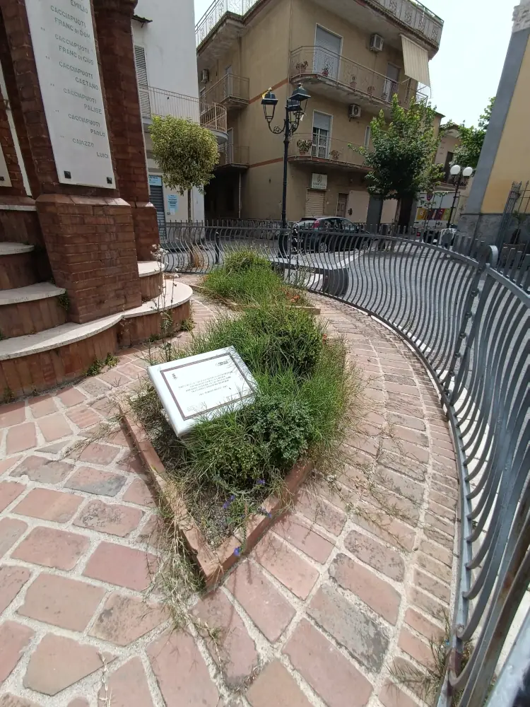 Qualiano: erbaccia alta