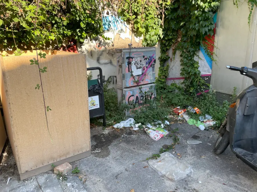 Gatti morti e rifiuti