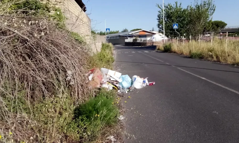Rifiuti abbandonati in periferia
