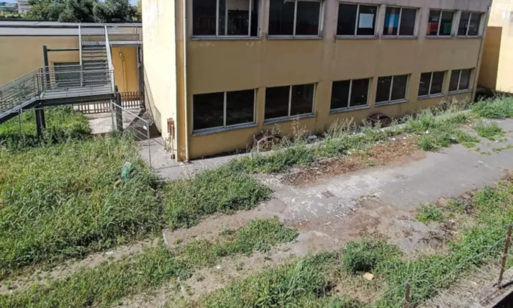 Qualiano: manutenzione del verde