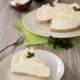 cheesecake-al-cocco-