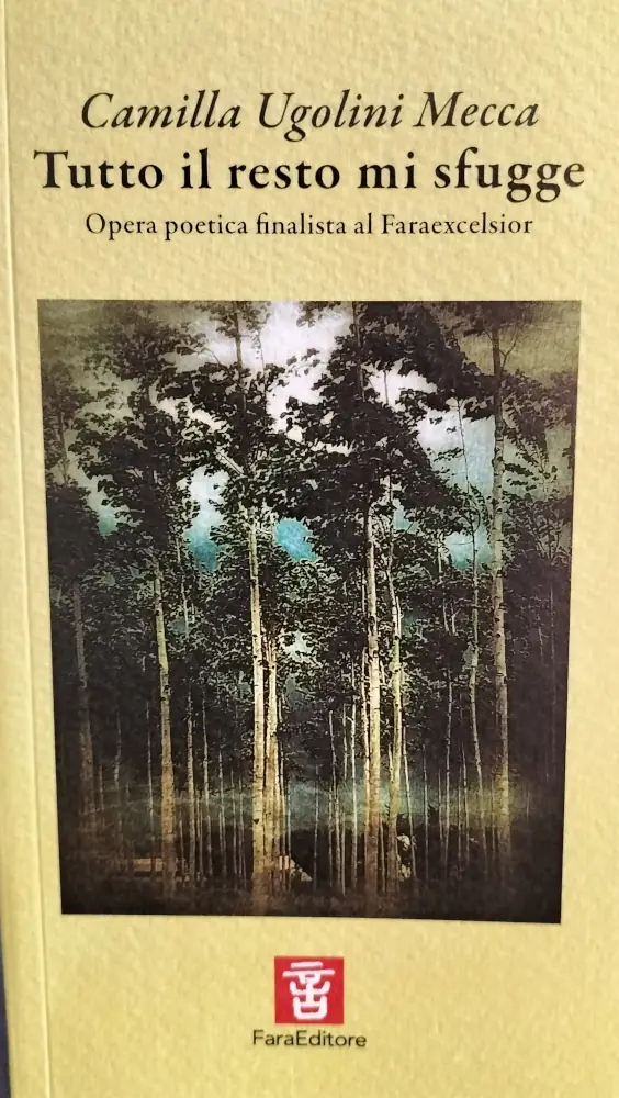 tutto il resto mi sfugge