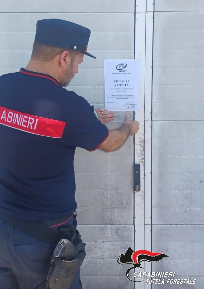 Sicurezza alimentare