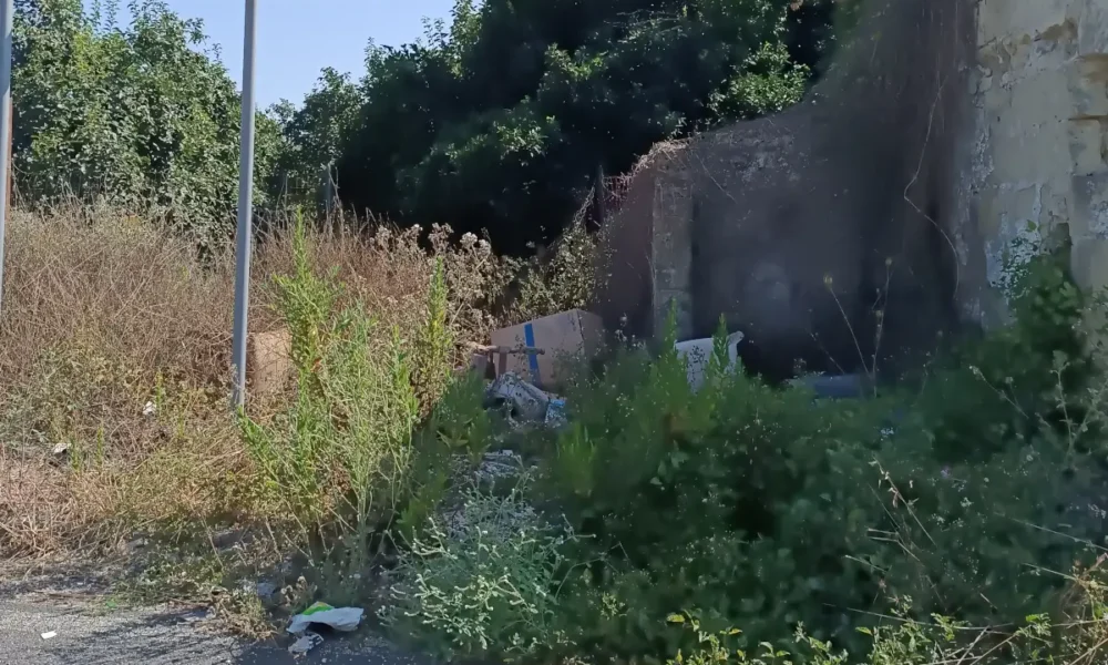 Qualiano - Erbacce e rifiuti in via falcone