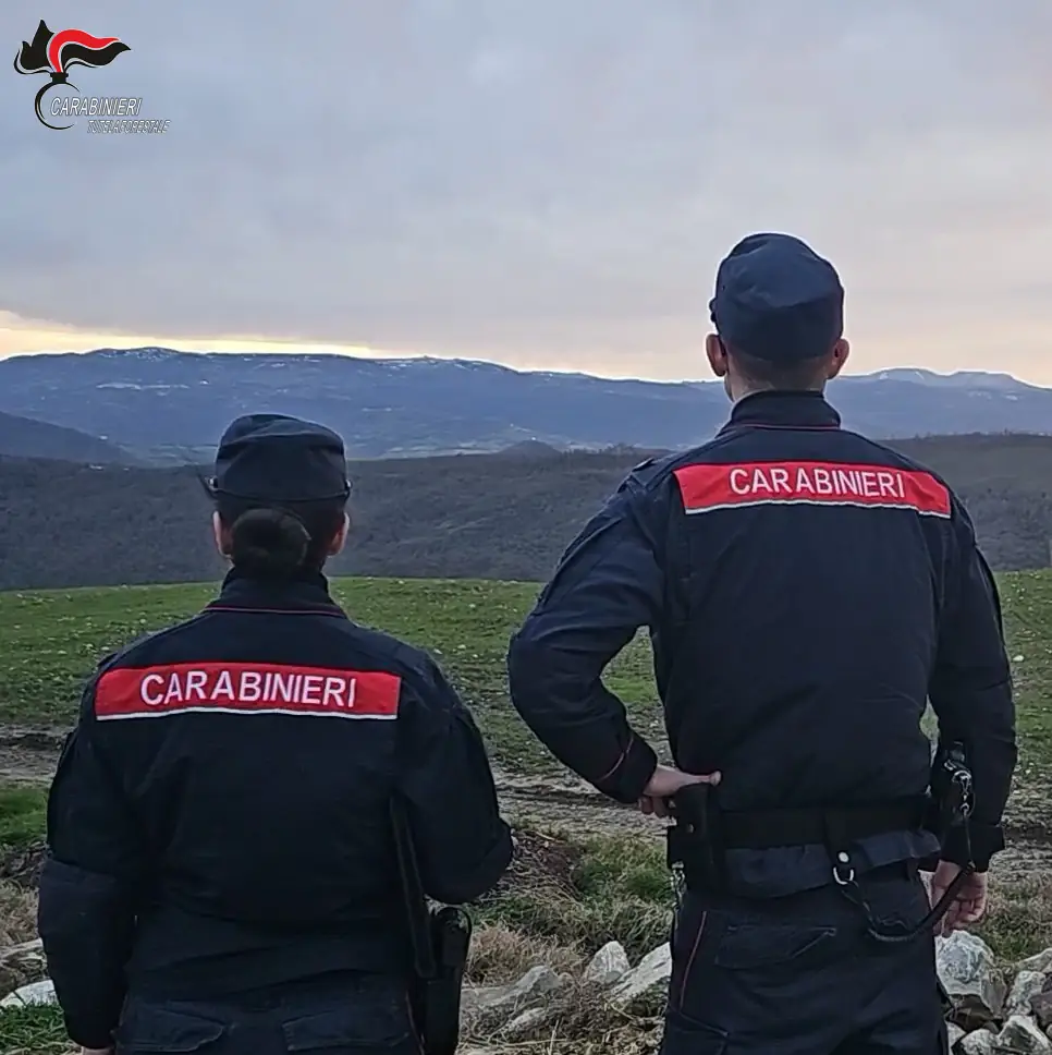Carabinieri forestali - Avellino