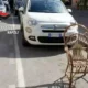 Castellammare - Sedia parcheggio