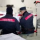 carabinieri tutela alimentare locale lavorazione car ni