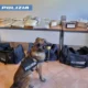 Napoli - Cane evan