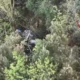 Tragedia Monte Faito
