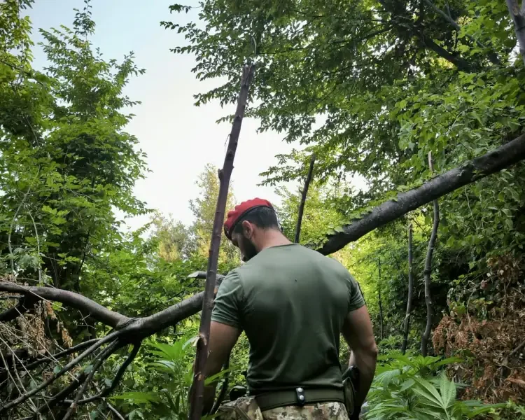 Monti lattari - Lettere