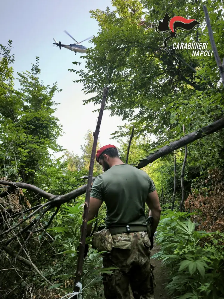 Monti lattari - Lettere