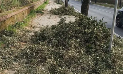 Villaricca via consolare campana - sfalci