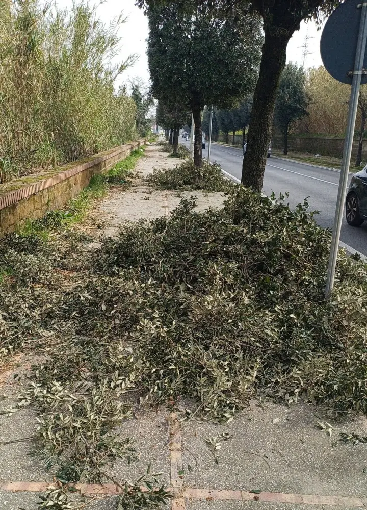 Villaricca via consolare campana - sfalci