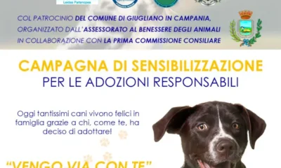 adozioni responsabili animali giugliano
