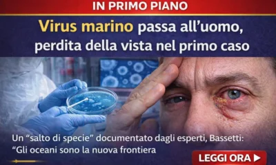 virus marino infetta uomo per la prima volta bassetti