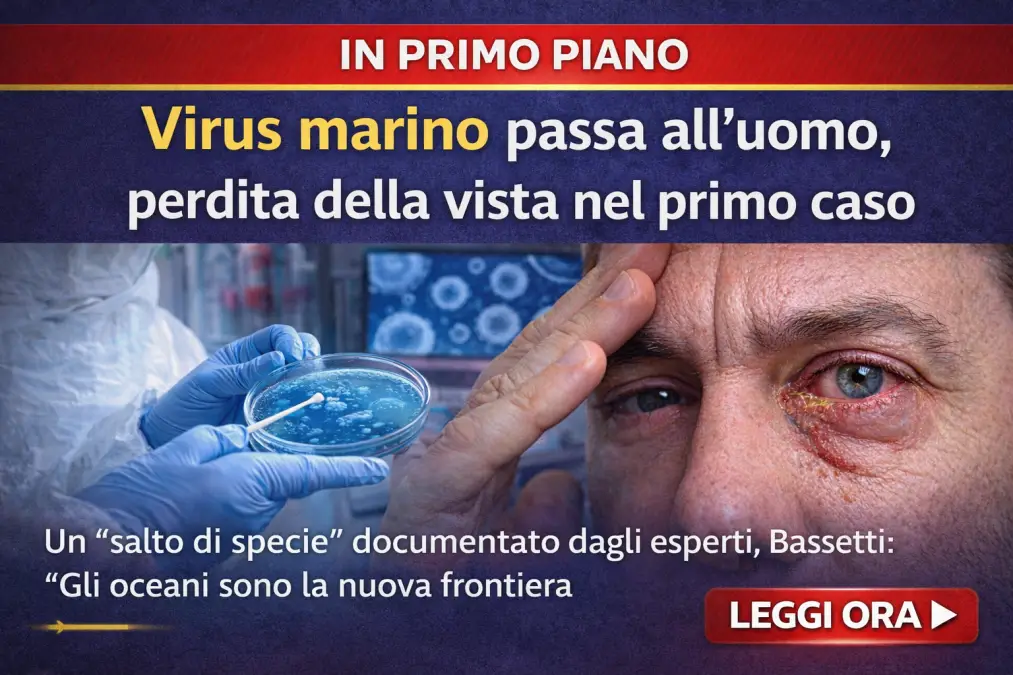 virus marino infetta uomo per la prima volta bassetti