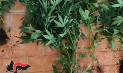 Cerreto Sannita