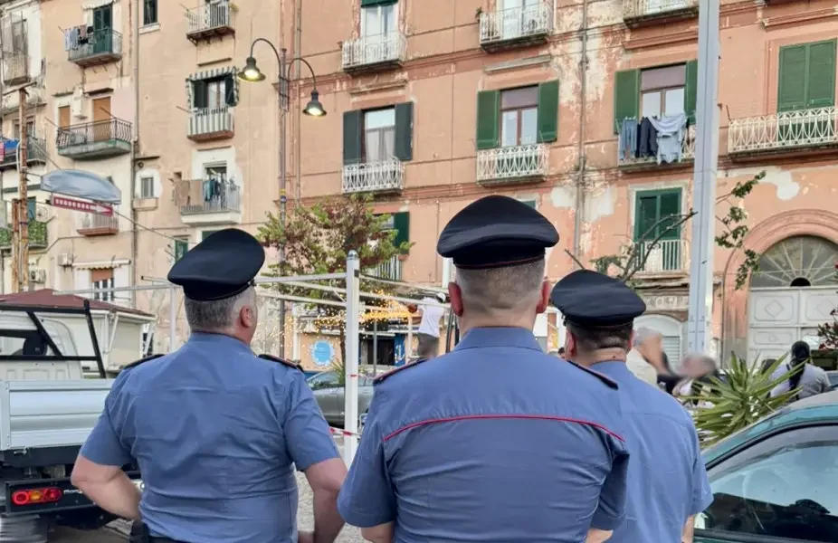castellammare alberi tagliati per un gazebo denunce e sequestri da Puntomagazine.it castellammare alberi tagliati per un gazebo denunce e sequestri