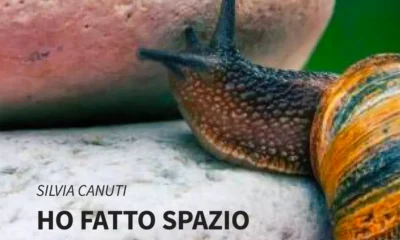 silvia canuti - ho fatto spazio