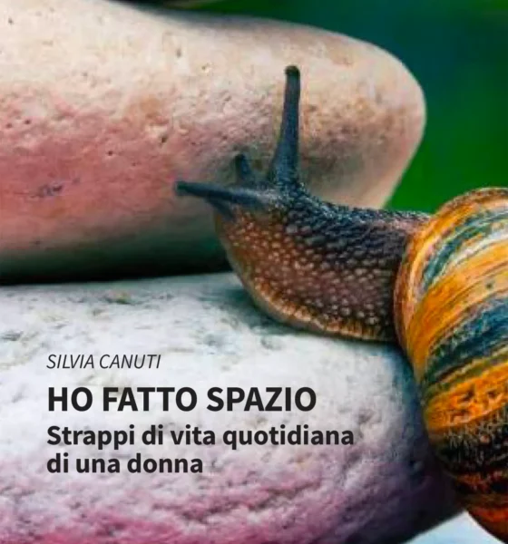 silvia canuti - ho fatto spazio