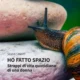 silvia canuti - ho fatto spazio