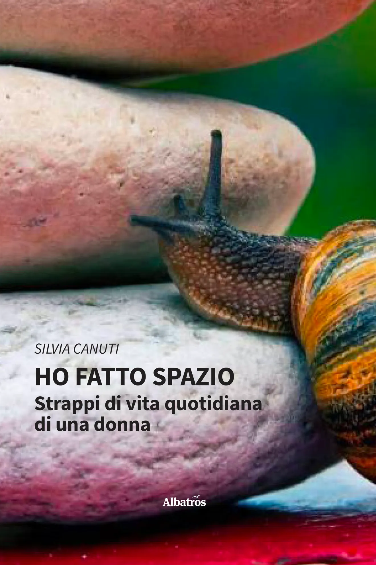 silvia canuti - ho fatto spazio