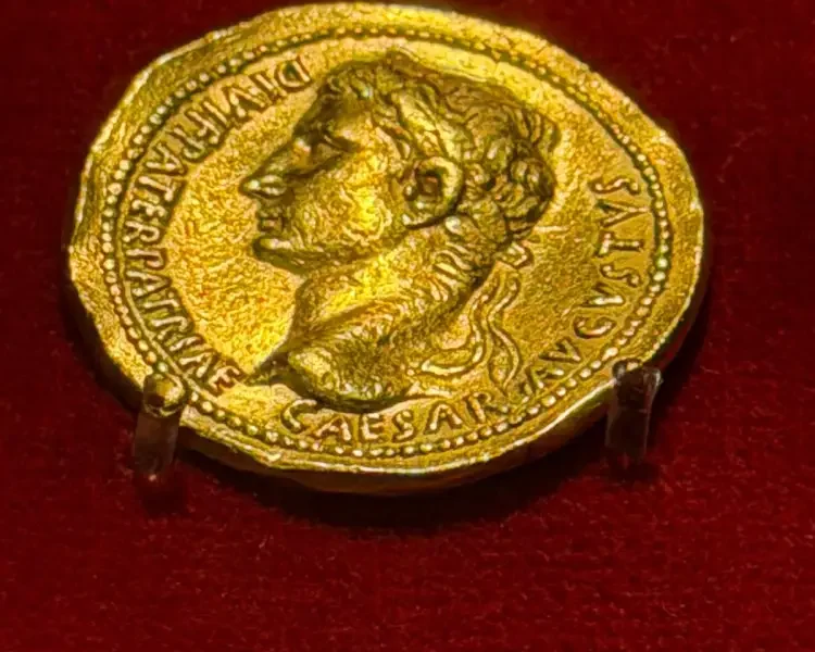 al mann di napoli riapre la sezione di numismatica da Puntomagazine.it al mann di napoli riapre la sezione di numismatica