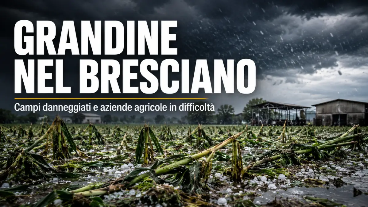 grandine nel bresciano maggio 2026