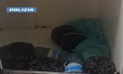 Molluschi sequestrati in tngenziale a napoli