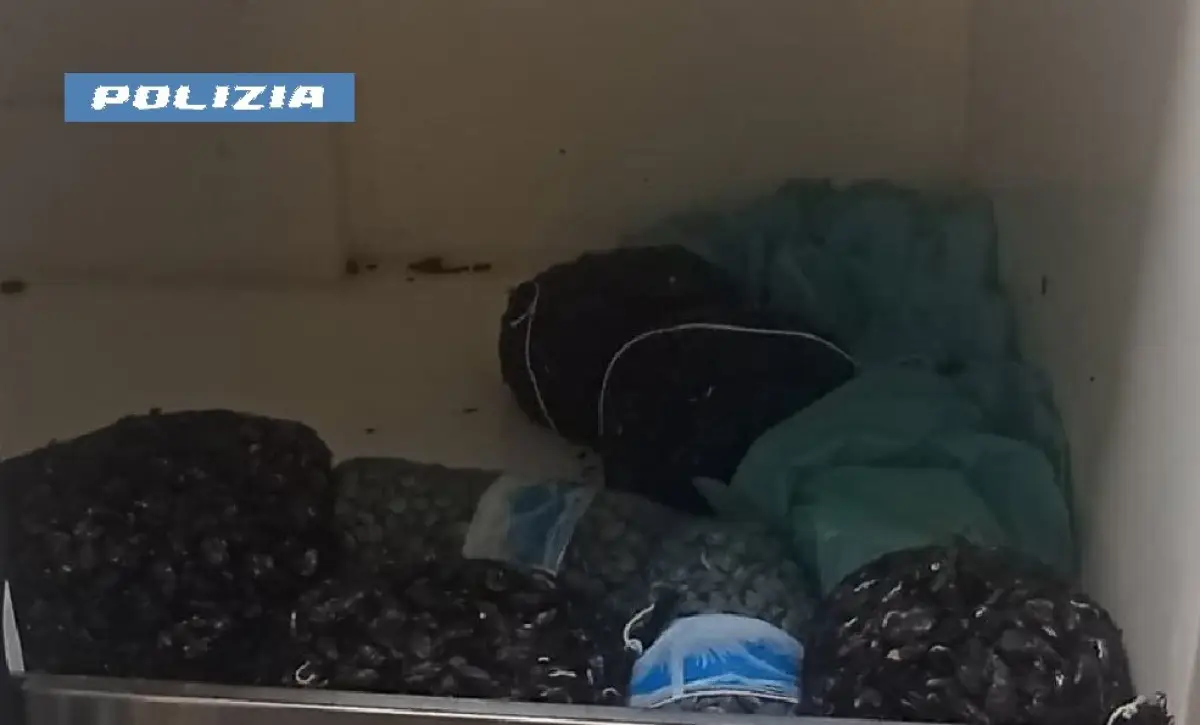 Molluschi sequestrati in tngenziale a napoli