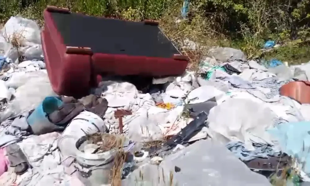 qualiano rifiuti e carcassa di una pecora in via falcone allarme da Puntomagazine.it qualiano rifiuti e carcassa di una pecora in via falcone allarme