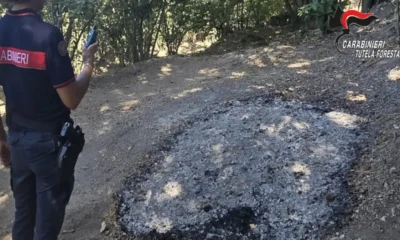 Abbruciamento illecito Irpinia