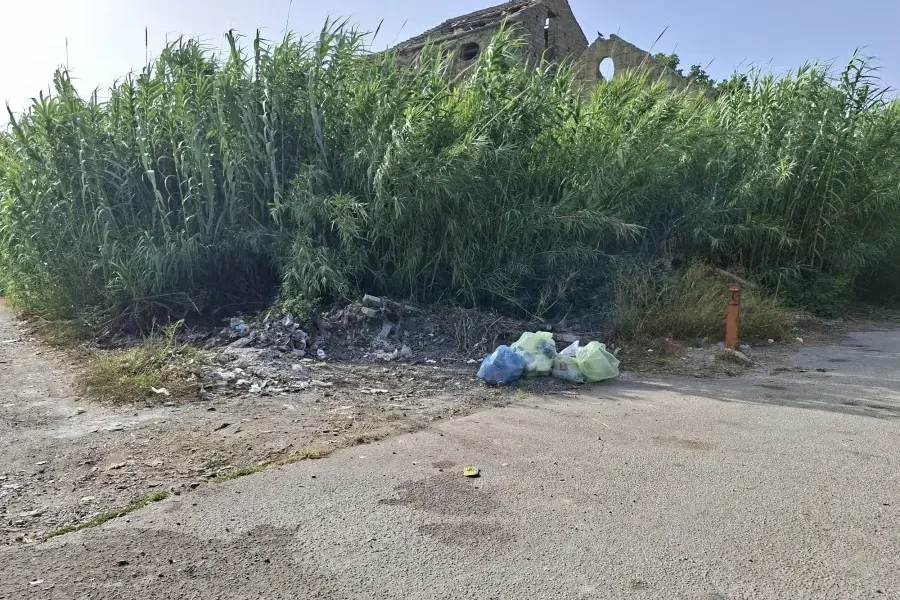 qualiano nuovi rifiuti a cardinale discarica abusiva torna a crescere da Puntomagazine.it qualiano nuovi rifiuti a cardinale discarica abusiva torna a crescere