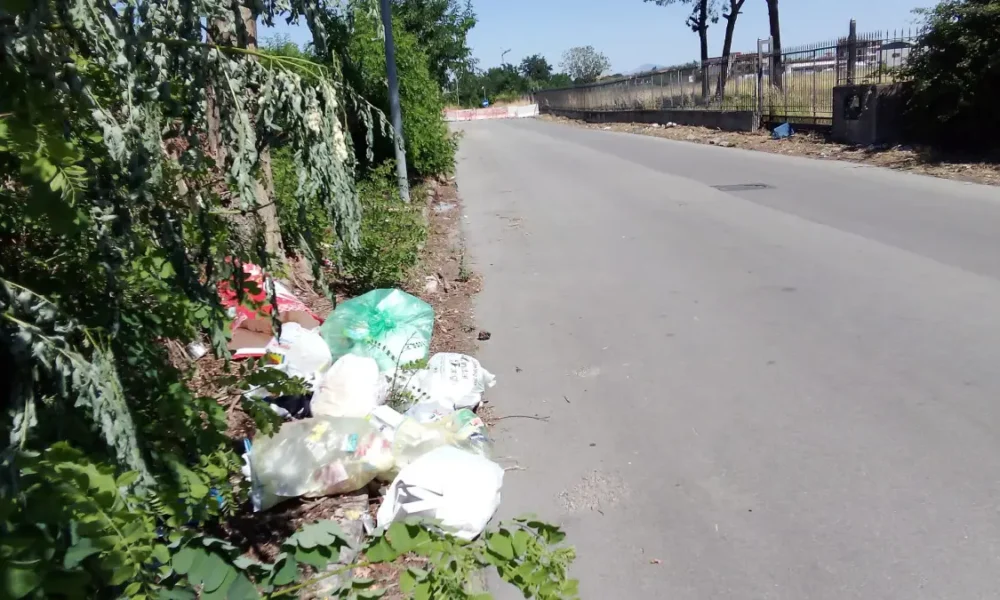 qualiano nuovi rifiuti in via palumbo degrado senza soluzione da Puntomagazine.it qualiano nuovi rifiuti in via palumbo degrado senza soluzione
