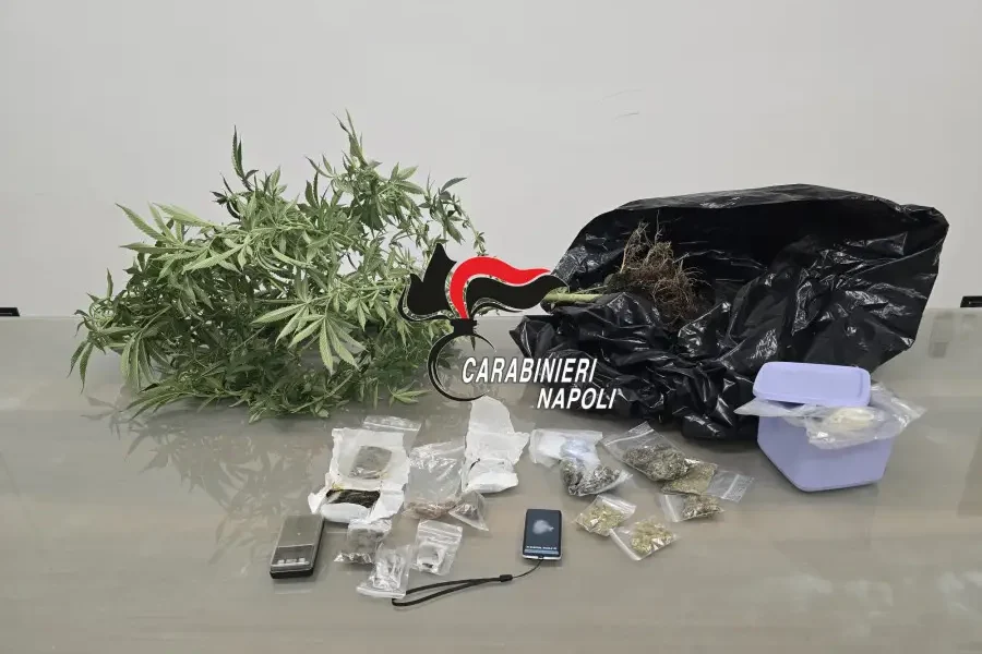 droga e marijuana coltivata in casa arrestato 23enne a santa maria la carit224 da Puntomagazine.it droga e marijuana coltivata in casa arrestato 23enne a santa maria la carit224