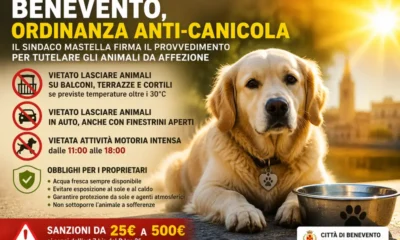 benevento ordinanza anti canicola