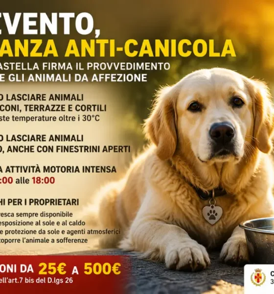 benevento ordinanza anti canicola