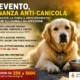 benevento ordinanza anti canicola
