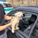 cucciolo Charlie salvato della Polizia Metropolitana di Napoli